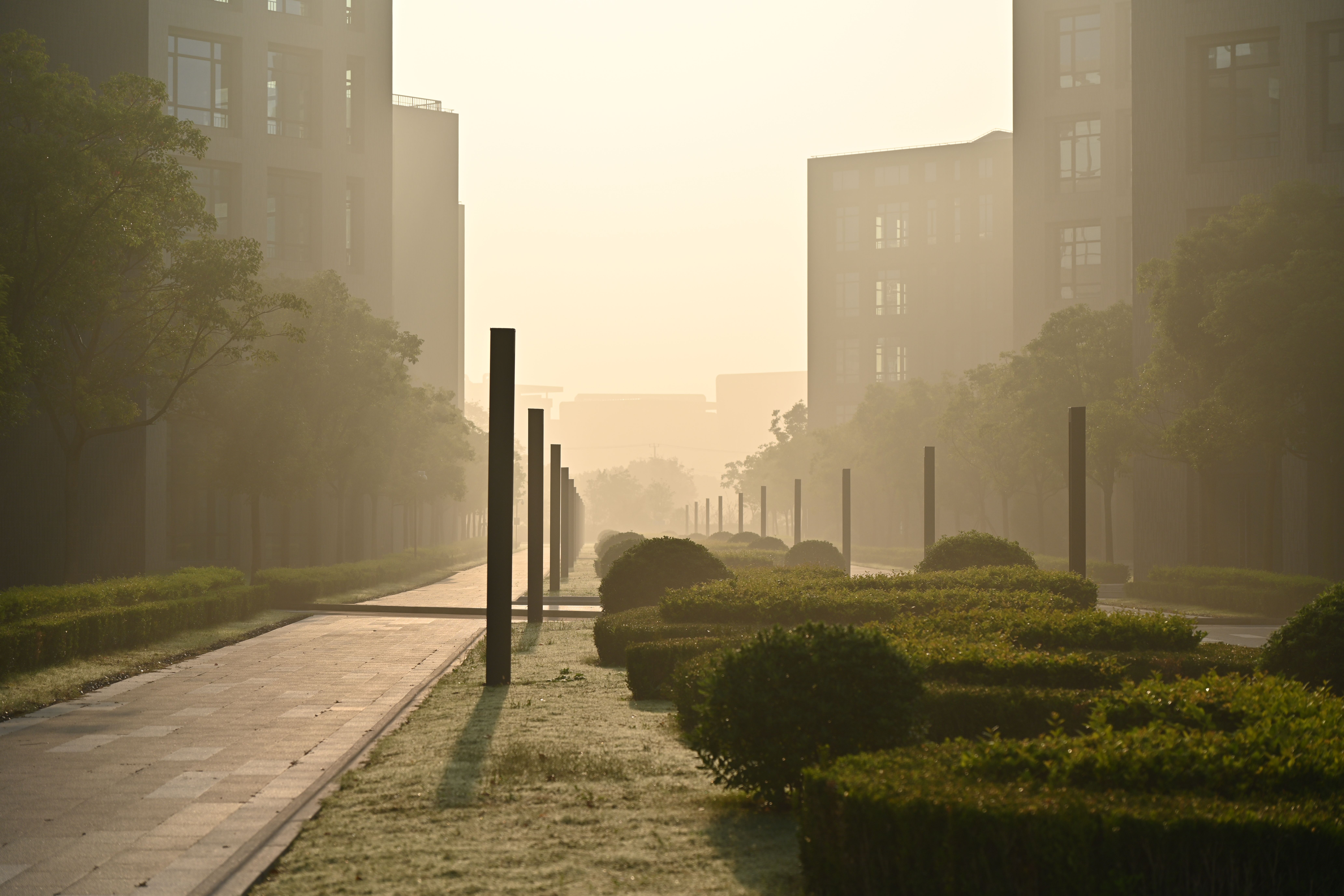 Integrating urban design and clean energy for better city LIFE — Photo by Qing Luo on Pexels