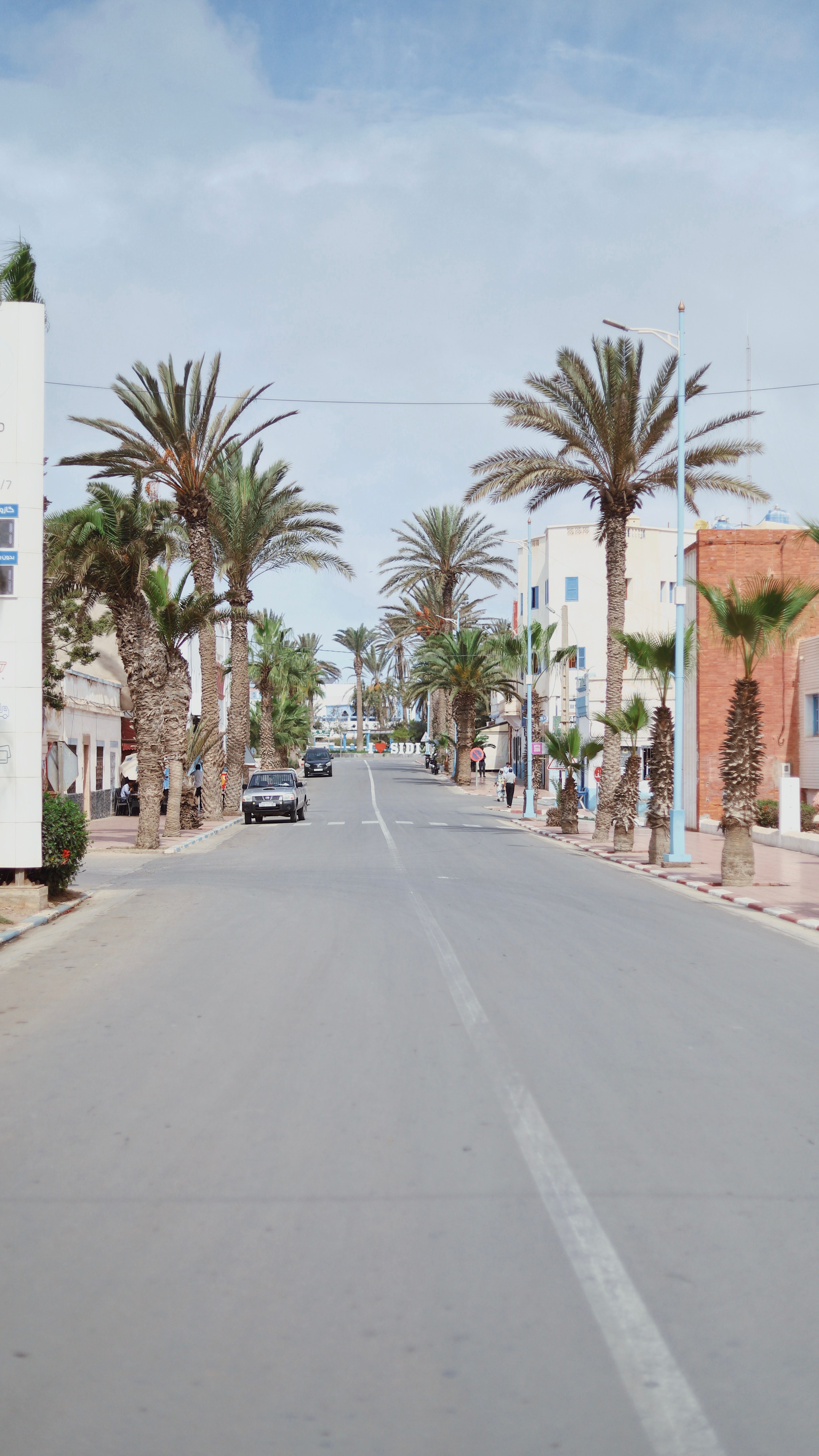 A sunny street with palm trees and colorful buildings, perfect for urban and travel themes.