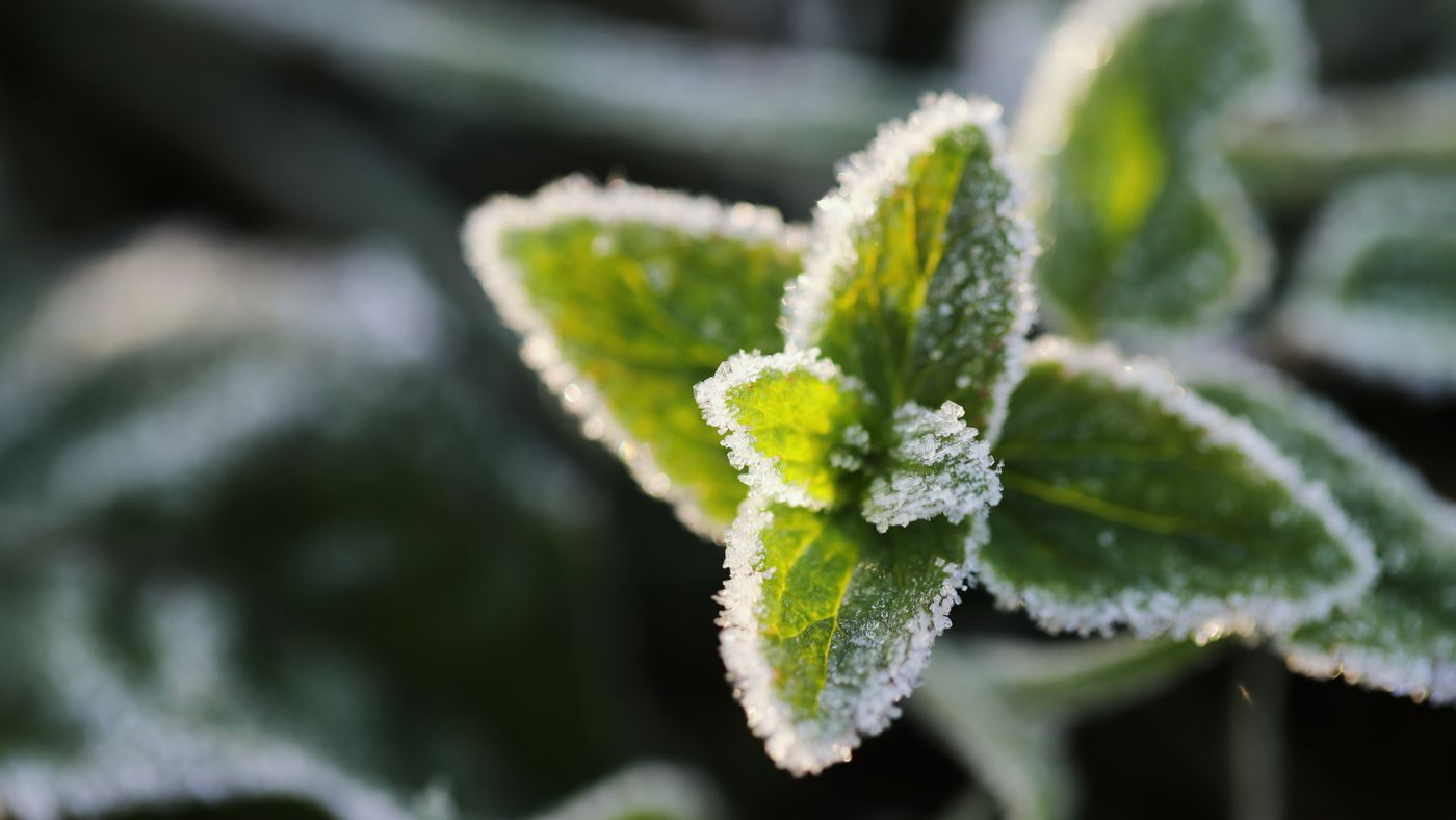 Frugal Winterizing: The Five-Dollar Fixes That Pay Off Most