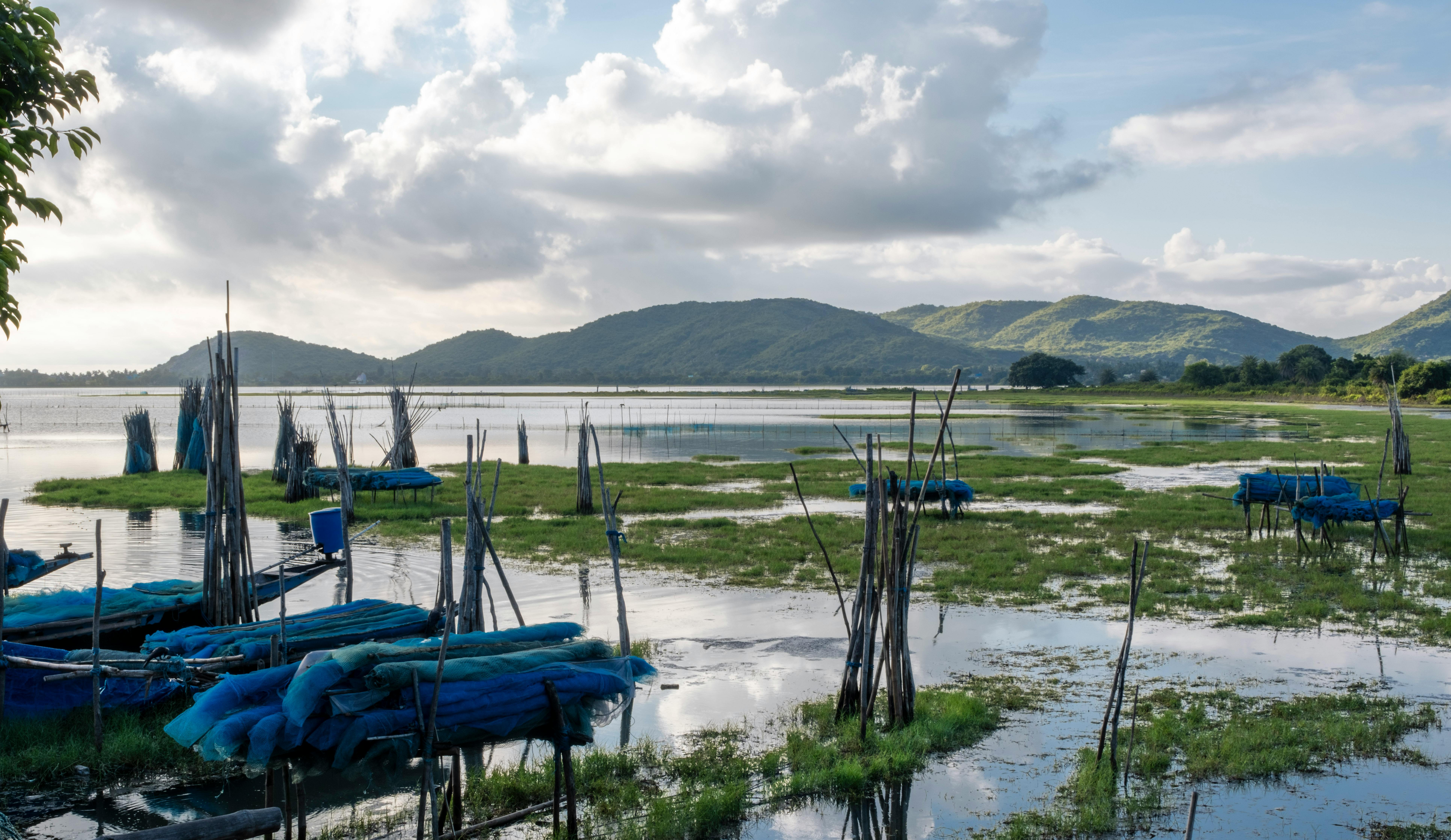 免費 印度奧裡薩邦的一個湖泊，有漁網和遠處的山丘，景色寧靜。 圖庫相片