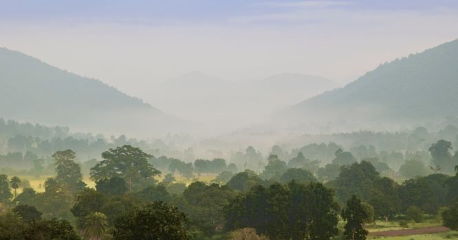 Mystical fog envelops the verdant forest in Daringbadi, India.
