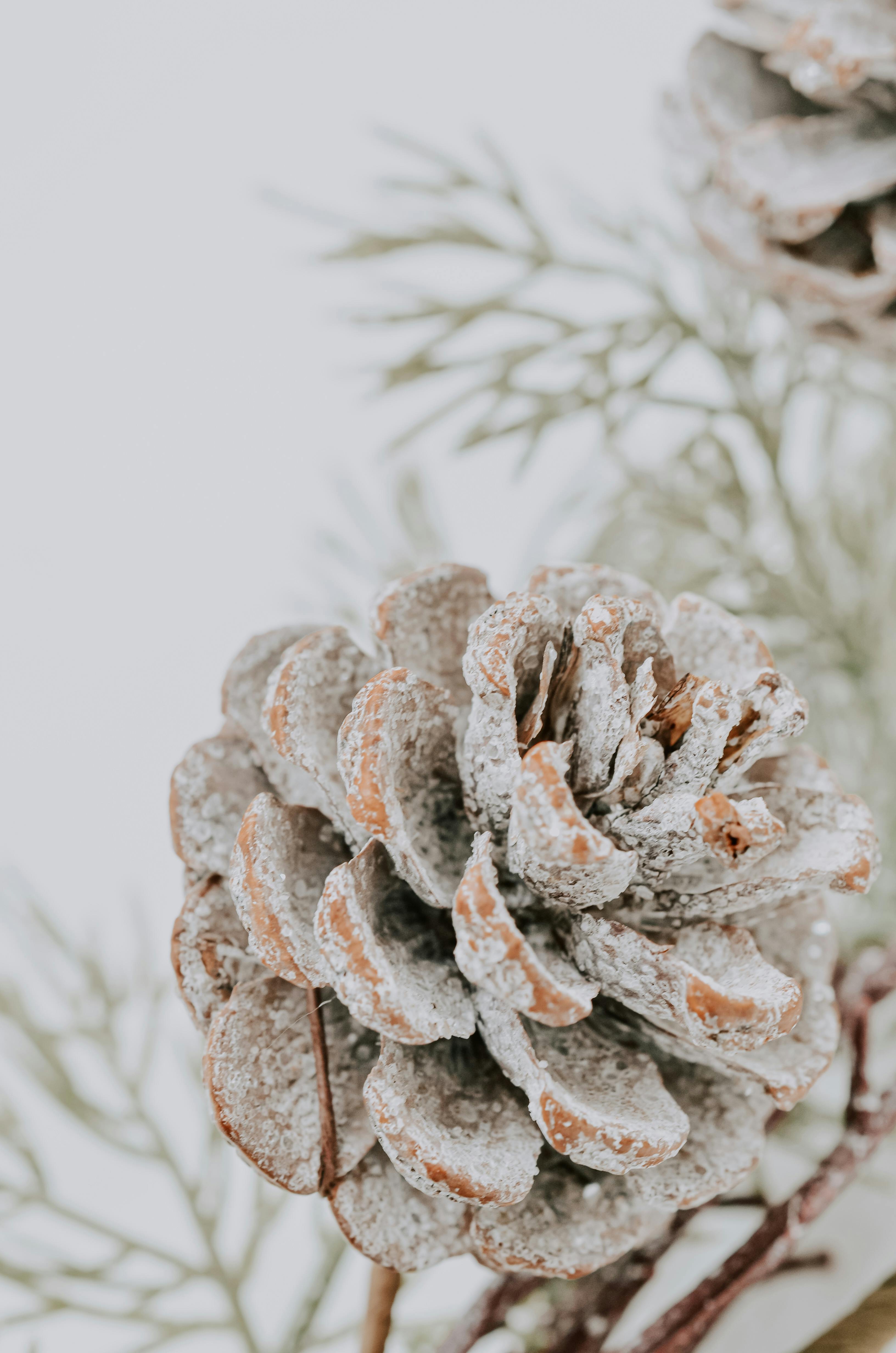 How to Boost Your Cold Email Campaigns with Mailgun