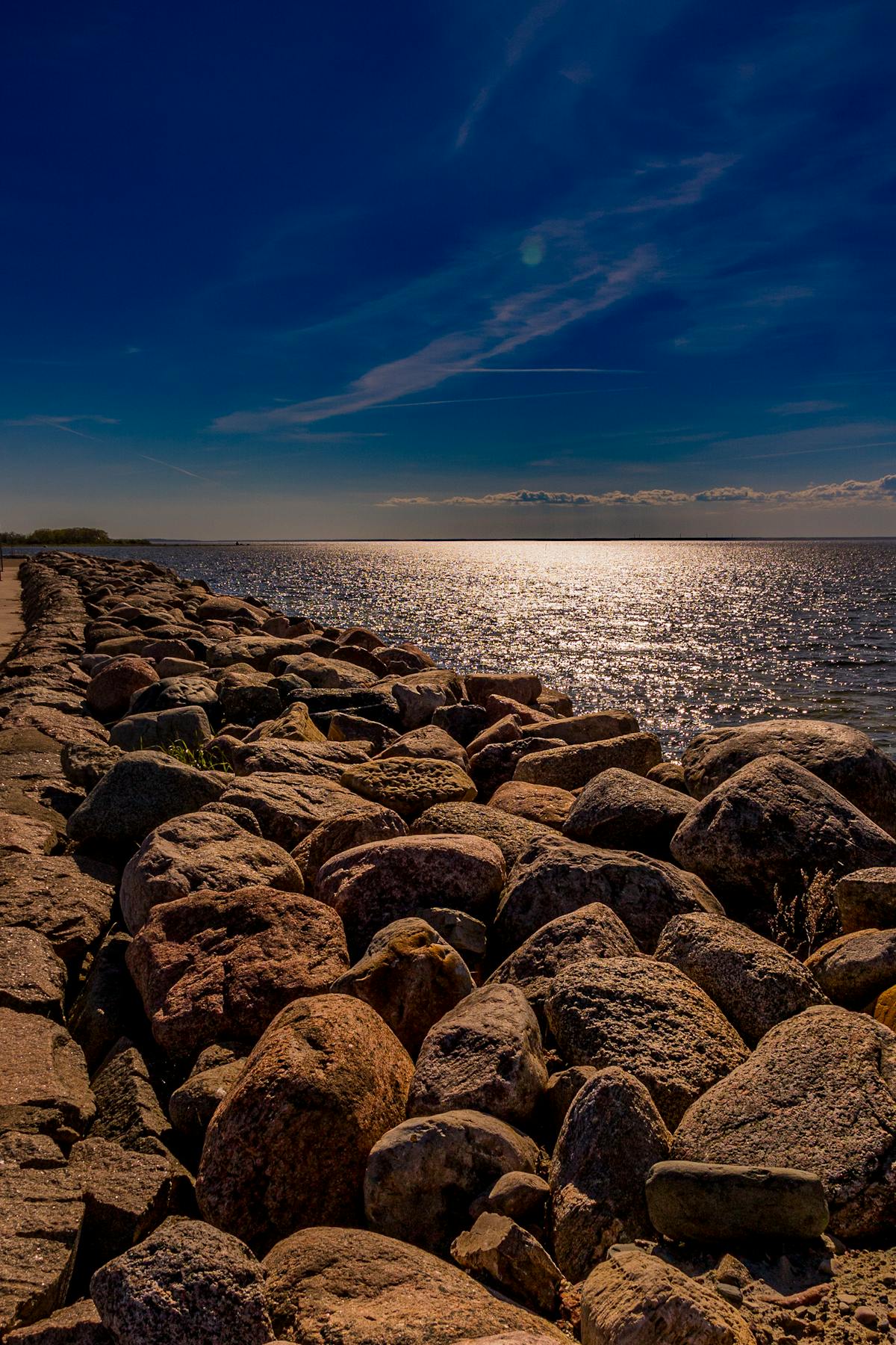 Strandade valen i Östersjön verkar ha gett upp
