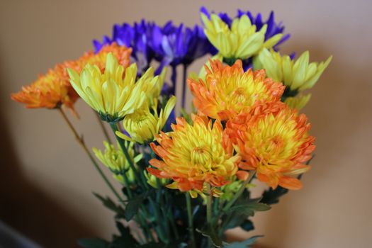 Close-up of a colorful chrysanthemum bouquet with orange, yellow, and purple flowers.