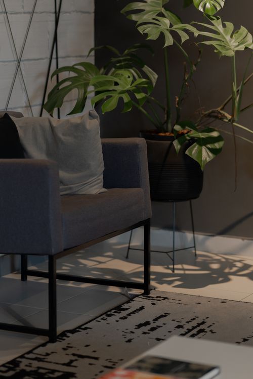 Free Contemporary living room with a modern chair and vibrant Monstera plant, offering a cozy indoor ambiance. Stock Photo