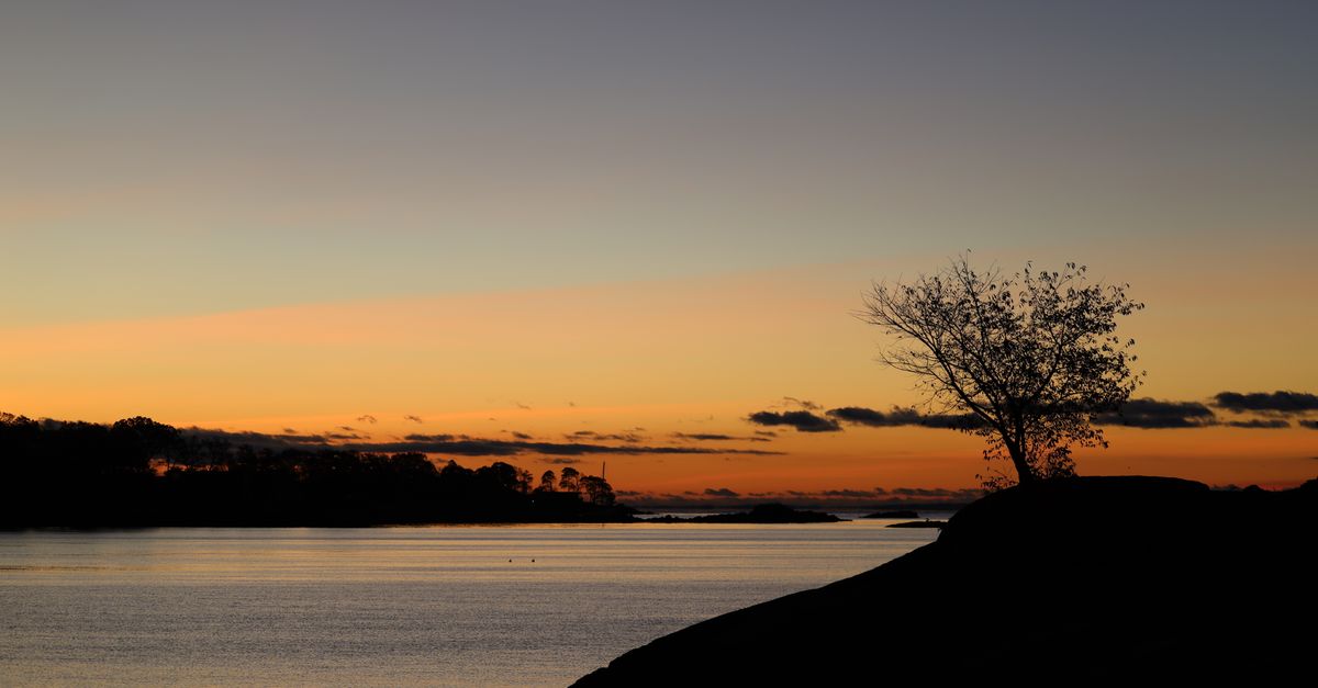Calm autumn sunrise with silhouette of tree by the Stamford waterfront, Connecticut.