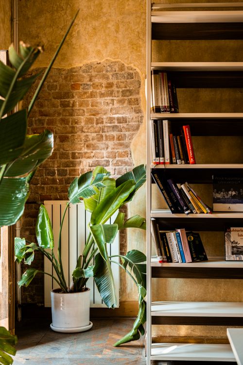 Free A cozy reading nook with brick wall, bookshelf, plants, warm lighting, inviting atmosphere. Stock Photo