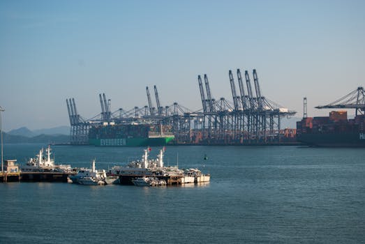 A vibrant view of container ships and cranes in a bustling marine cargo port.