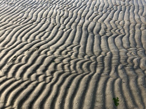 ビーチ, 砂の無料の写真素材