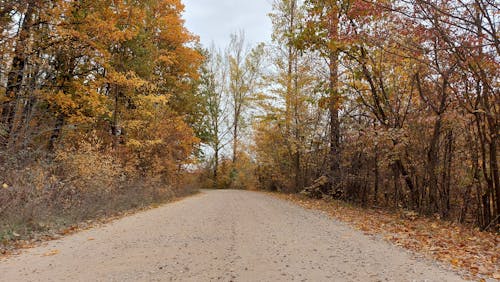 What Fall Smells Like Around the World