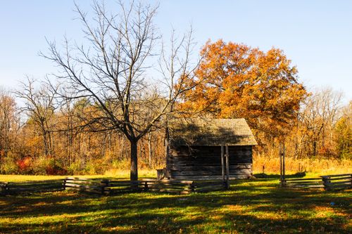 Free A rustic cabin amidst vibrant autumn foliage under clear skies. Perfect for seasonal themes. Stock Photo
