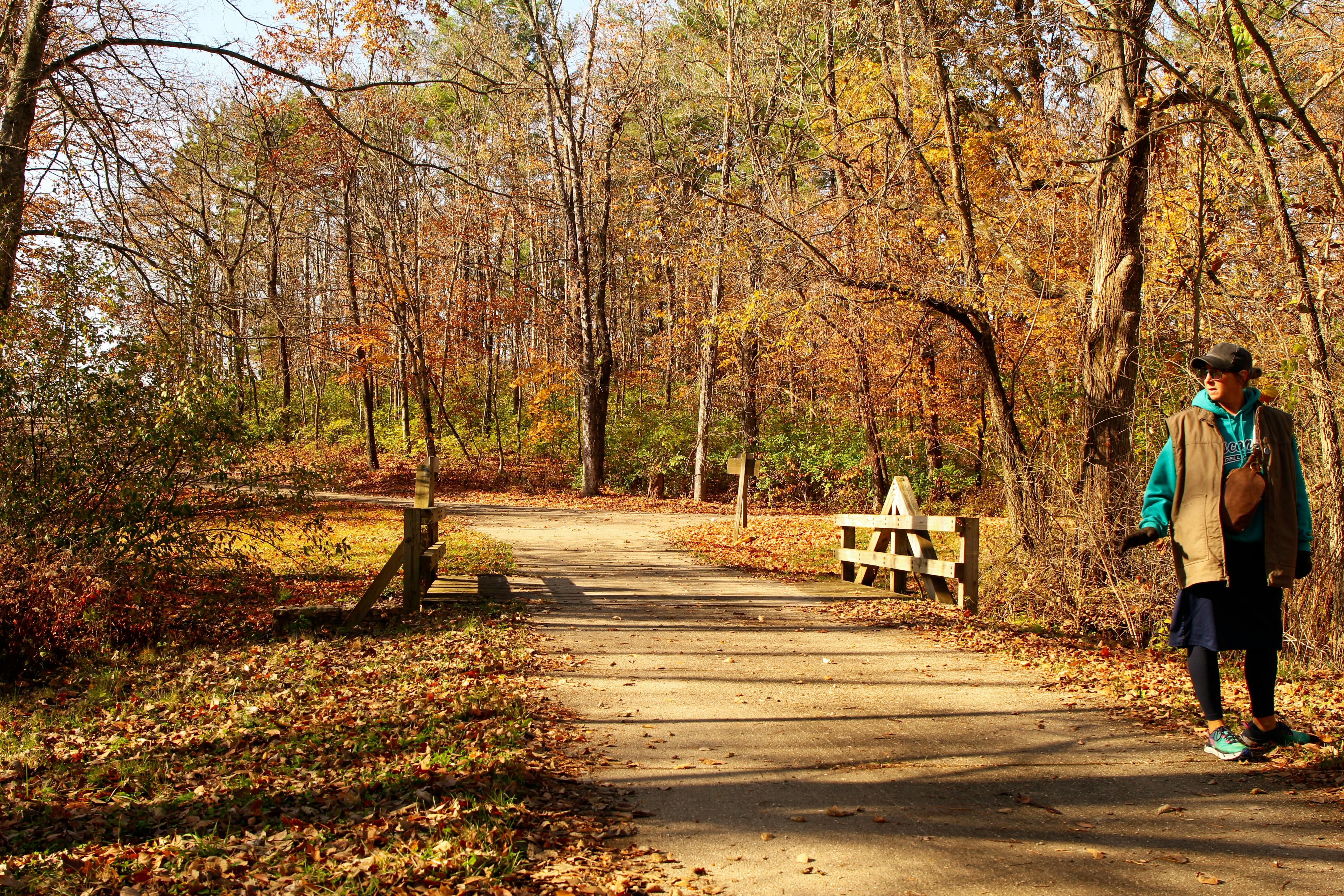 DuPage Forest Preserve executive director leaving for city manager job in Florida — Photo by Sight See-RR on Pexels