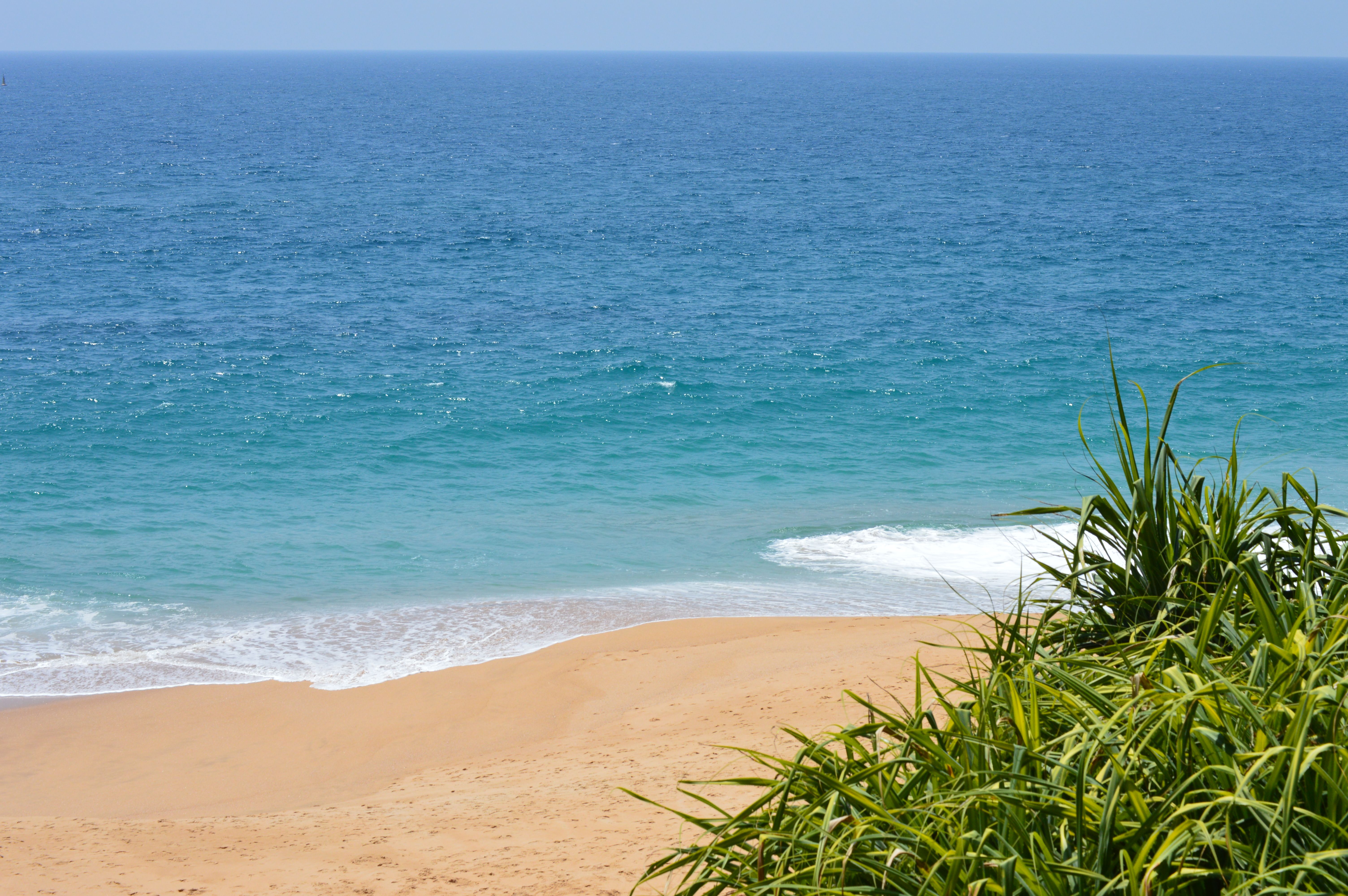 Scenic Beach Seascape with Lush Greenery · Free Stock Photo