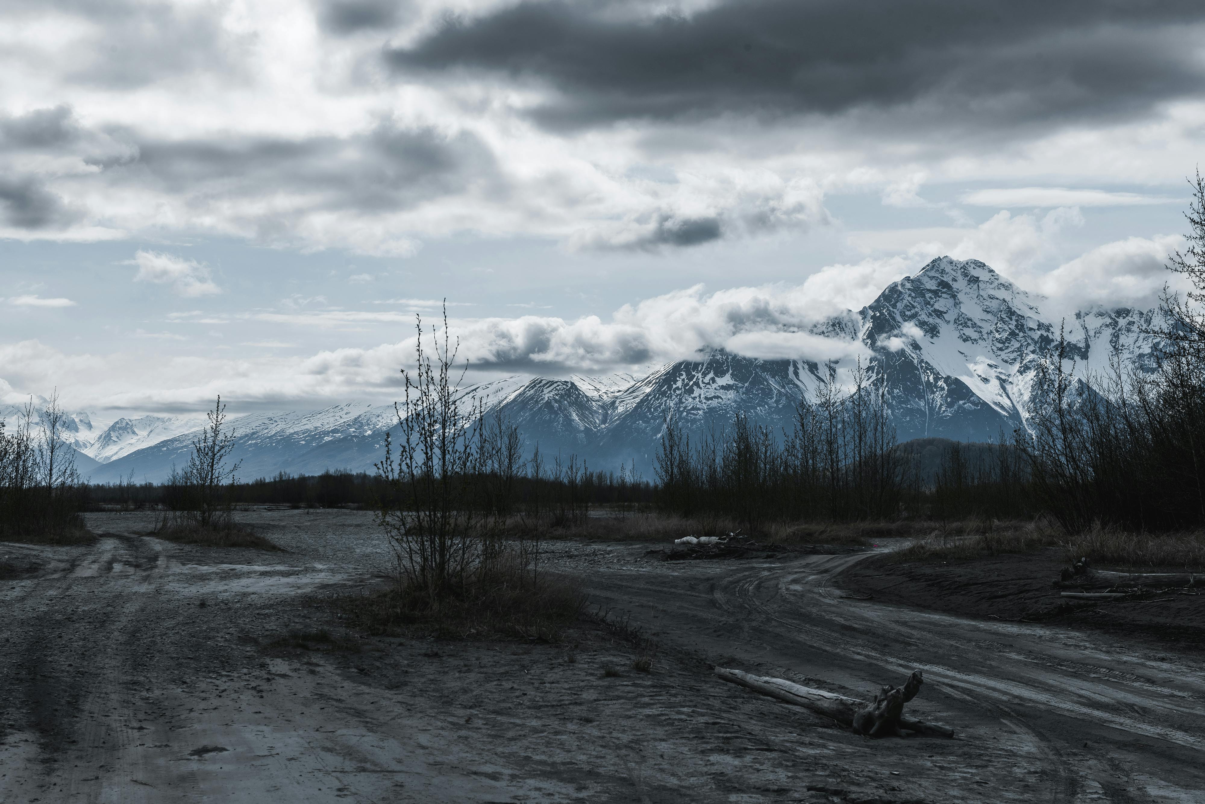 Alaska attorneys to provide free legal help on MLK Day holiday — Photo by Drew Dempsey on Pexels