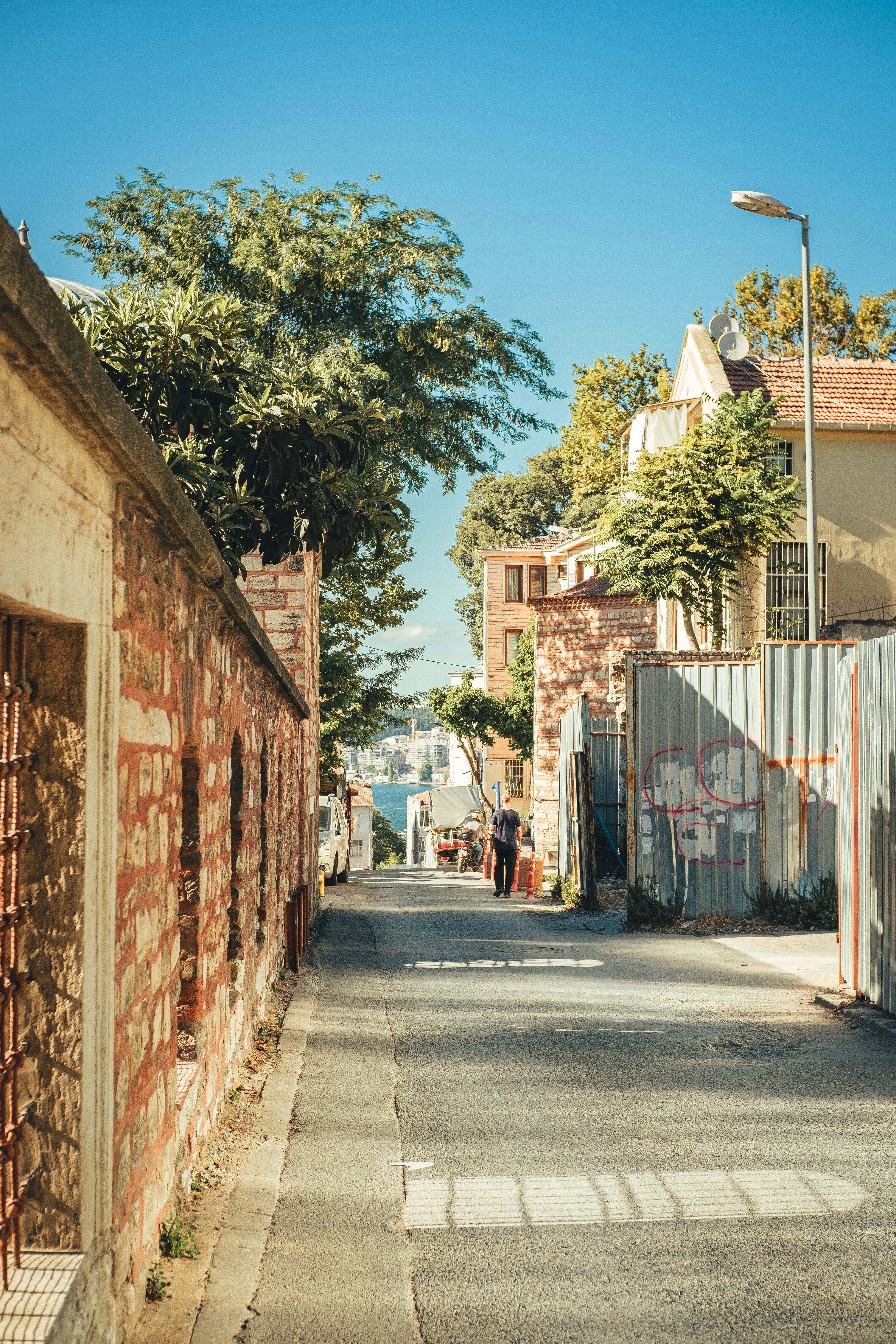 Charming Urban Alley with Rustic Buildings and Trees · Free Stock Photo