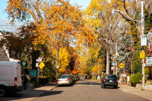 Vibrant autumn foliage lining a quaint street in Toronto, Canada.
