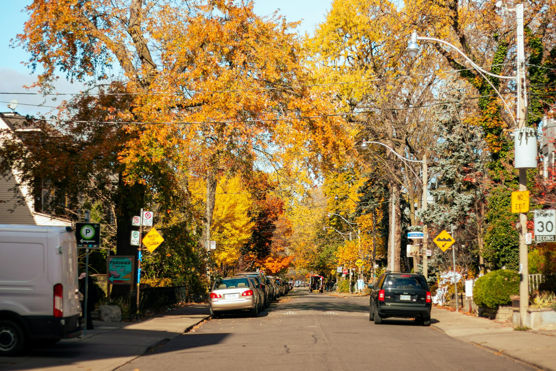 Toronto streets fall aesthetic