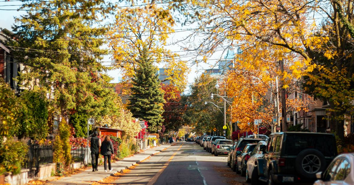 Charming autumn street in Toronto, Canada, lined with vibrant maple trees and fall foliage.