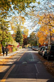 Beautiful autumnal view of a city street lined with colorful trees in Toronto, Canada.