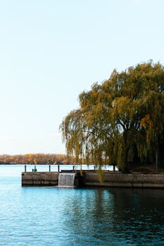 Serene autumn scene at Lake Ontario with fall foliage and tranquil water in Toronto, Canada.