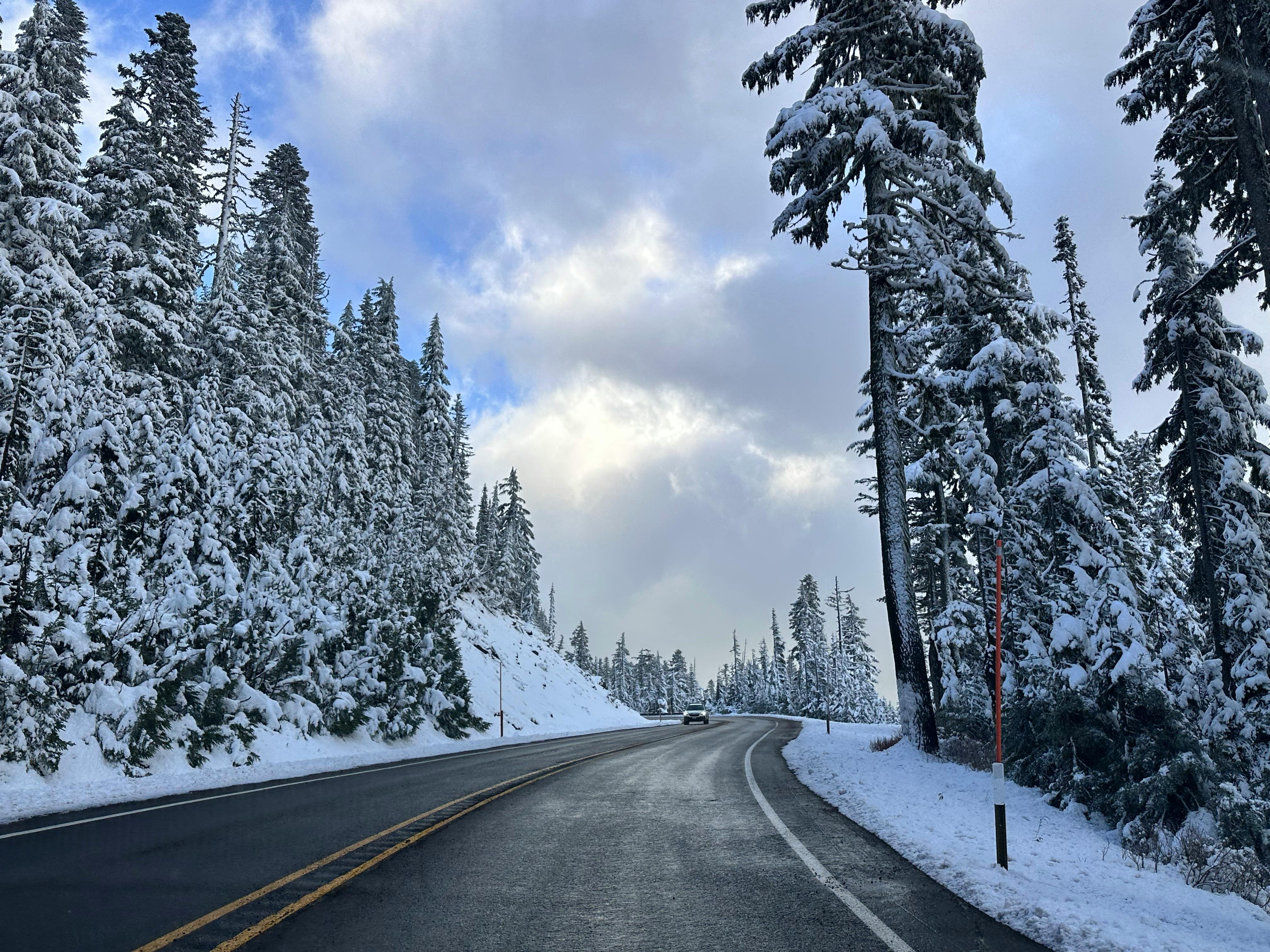 Prescription Goggle Inserts - A serene snowy road winding through a forest during winter, capturing nature's beauty.