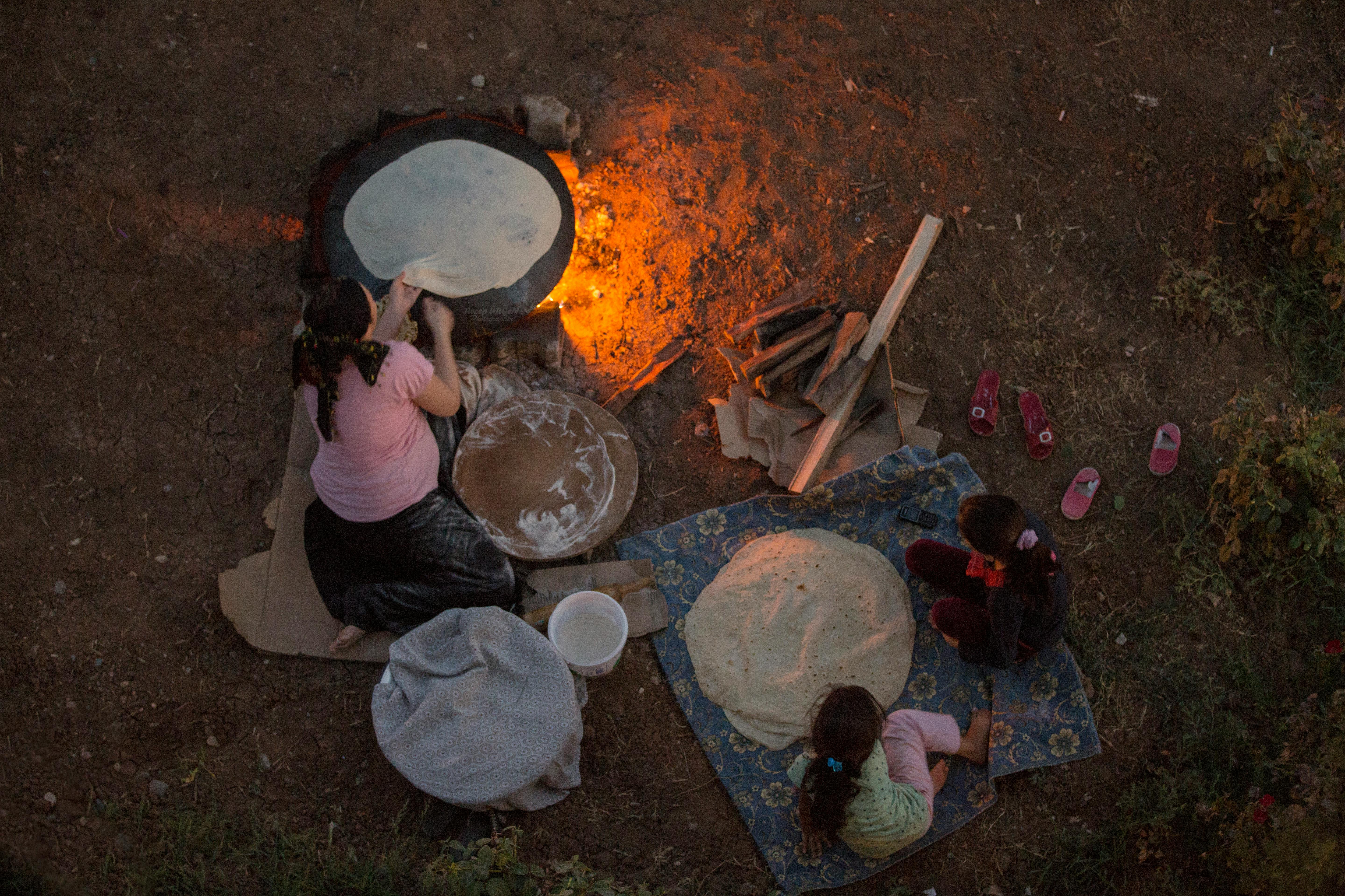 Project Bread’s Community Power Fund Empowers Grassroots Leaders to Make Hunger History — Photo by Recep Ürgen on Pexels