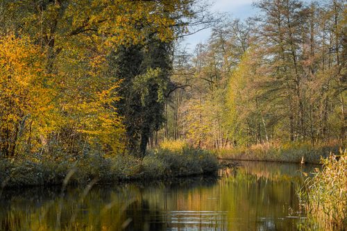 Free Peaceful autumn landscape with golden foliage and calm water reflections. Stock Photo