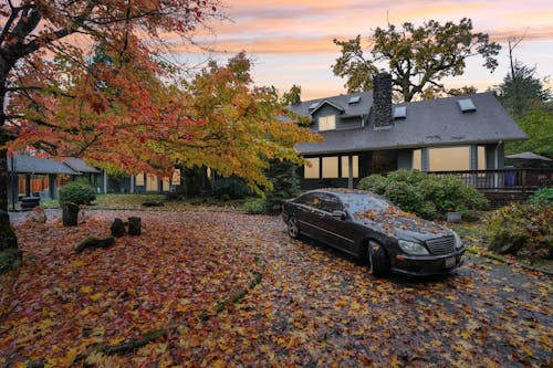 Fall Yard Prep: Tips to Tackle Leaves Before Winter Hits