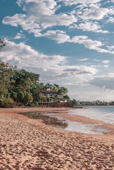澳大利亚宁静的海滩景色宜人，拥有沙滩、晴朗的天空和郁郁葱葱的绿植