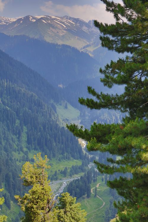 Free A stunning view of Gulmarg's lush greenery, pine forests, and flowing river under mountain peaks. Stock Photo