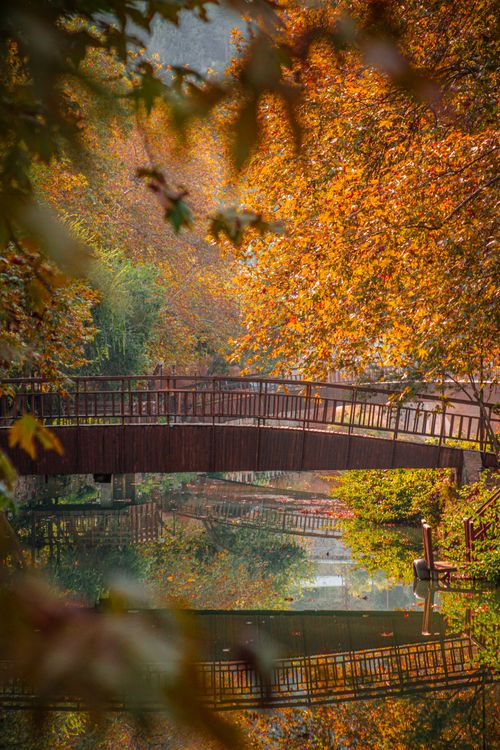 Free Serene autumn view of a bridge reflecting in a tranquil park lake in Adana, Türkiye. Stock Photo