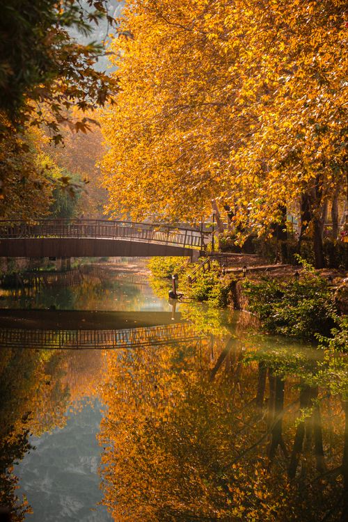 Free Tranquil autumn scene with a bridge in Adana, Türkiye surrounded by vibrant fall foliage. Stock Photo