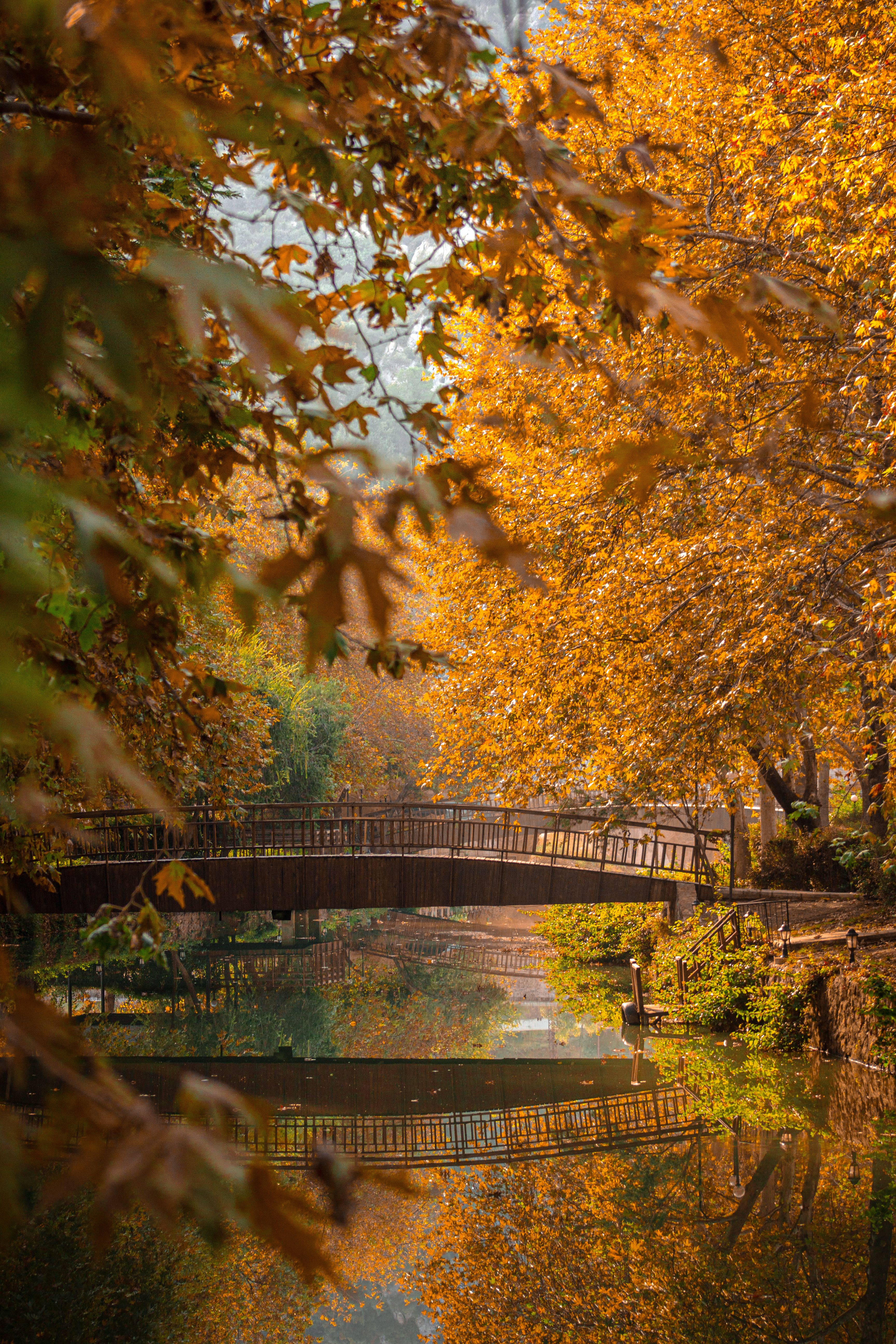 Serene Autumn Bridge in Misty Landscape · Free Stock Photo
