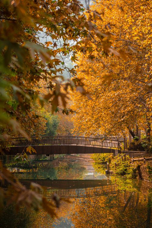Free Tranquil autumn scene with a bridge over water in Adana's vibrant fall foliage. Stock Photo