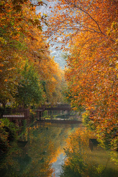 Free Beautiful autumn scene showcasing vibrant foliage over tranquil water in Adana, Türkiye. Stock Photo