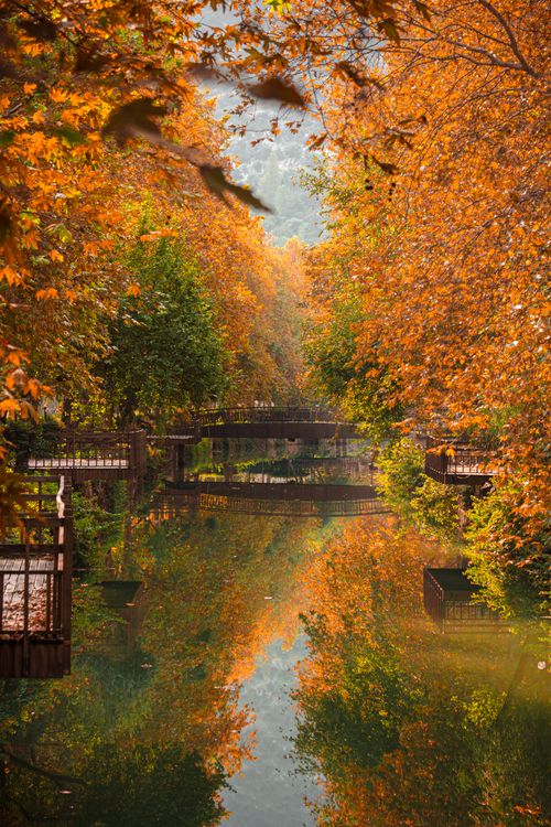 Free Serene autumn scene with vibrant foliage reflecting on water in Adana, Türkiye. Stock Photo