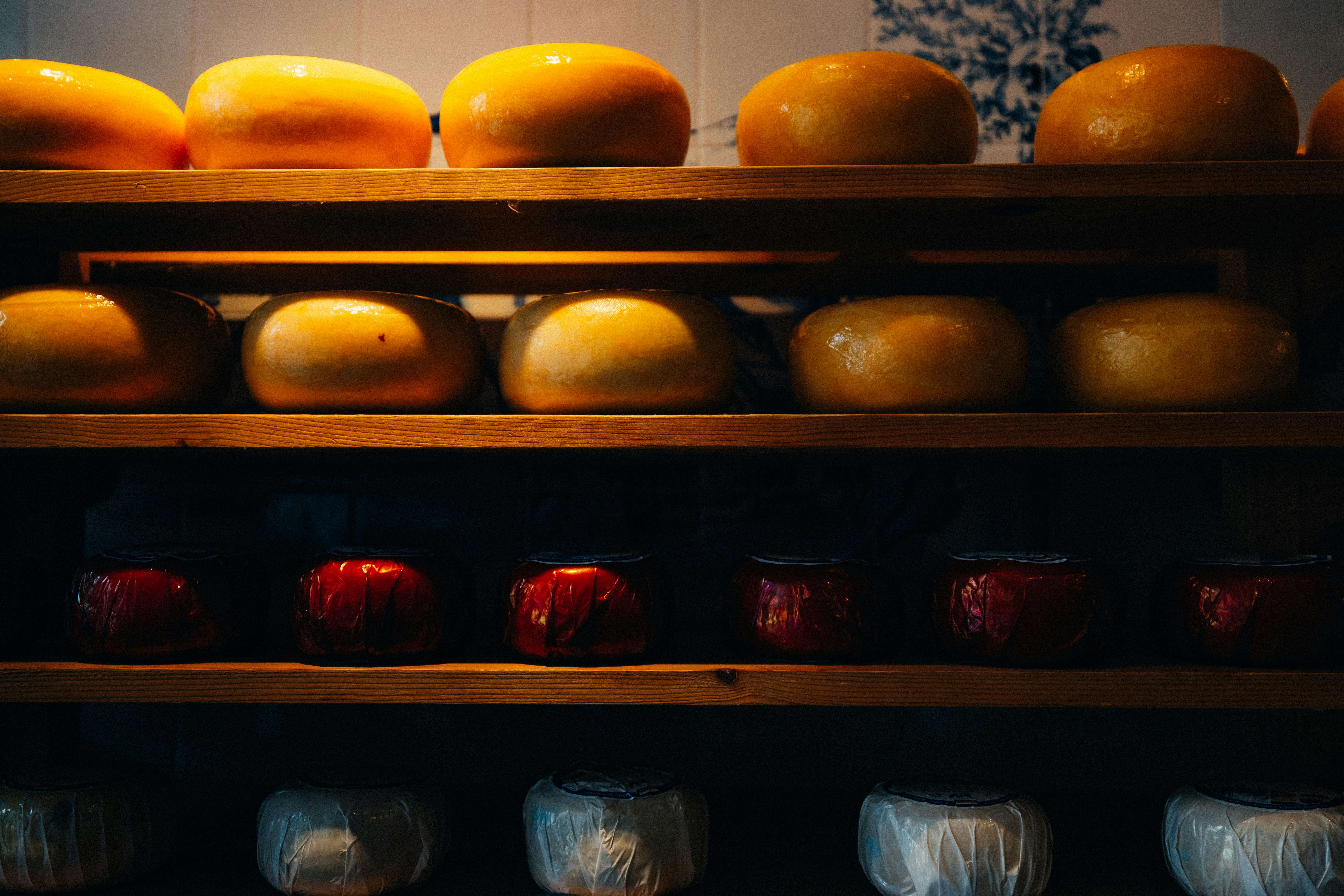 Rows of traditional Dutch cheese wheels in Amsterdam