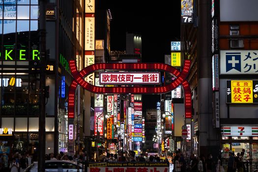 Dazzling neon lights and bustling streets capture the essence of Tokyo's Kabukicho at night.