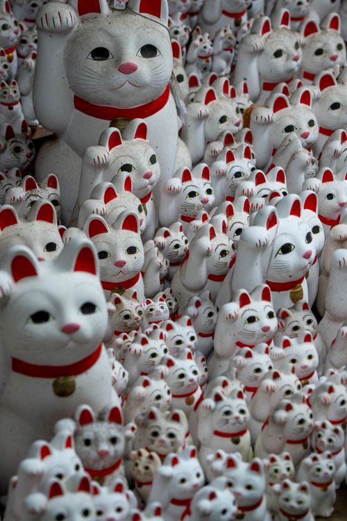Free A multitude of white Maneki-neko statues with raised paws, embodying luck and prosperity. Stock Photo
