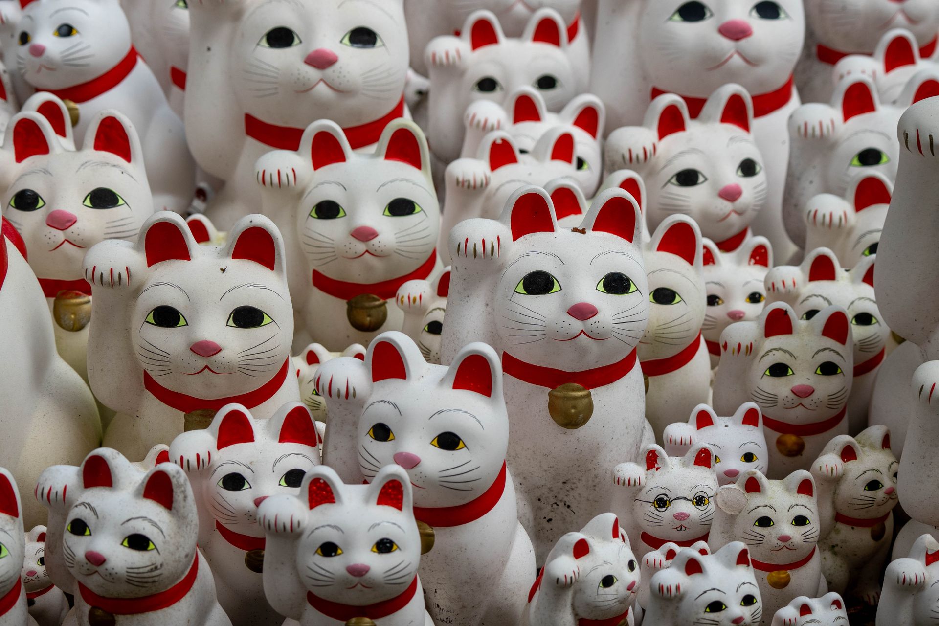 Cluster of traditional Japanese Maneki-neko lucky cat figurines with raised paws and red collars.