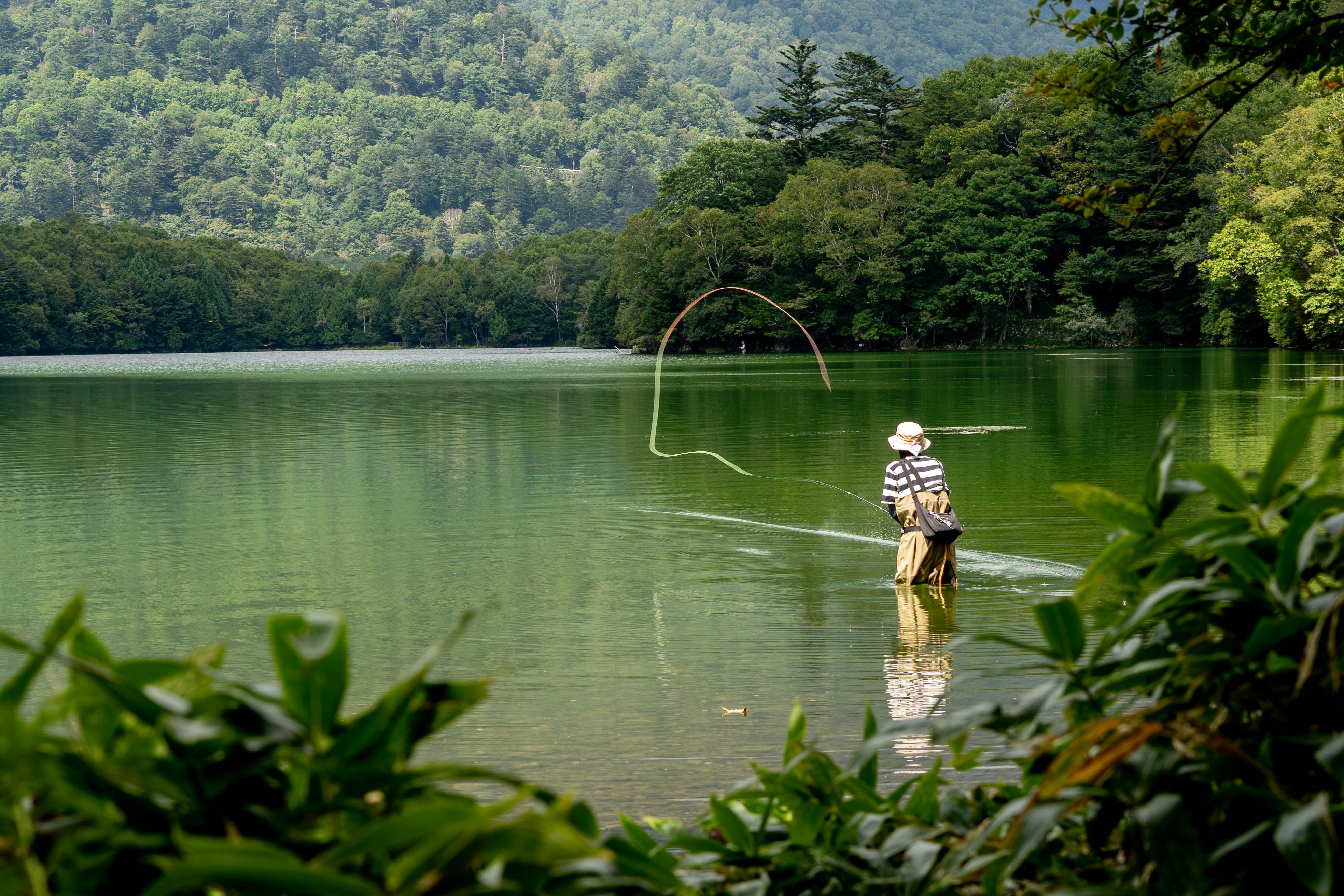 A lone fisherman fly fishing in a tranquil mountain lake surrounded by lush green forest.