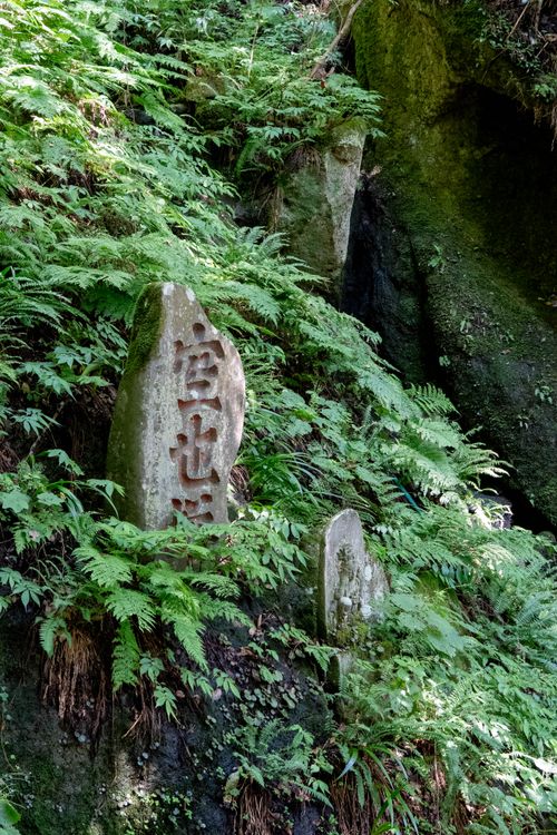 Free Stone carvings surrounded by vibrant ferns in a serene forest setting. Stock Photo