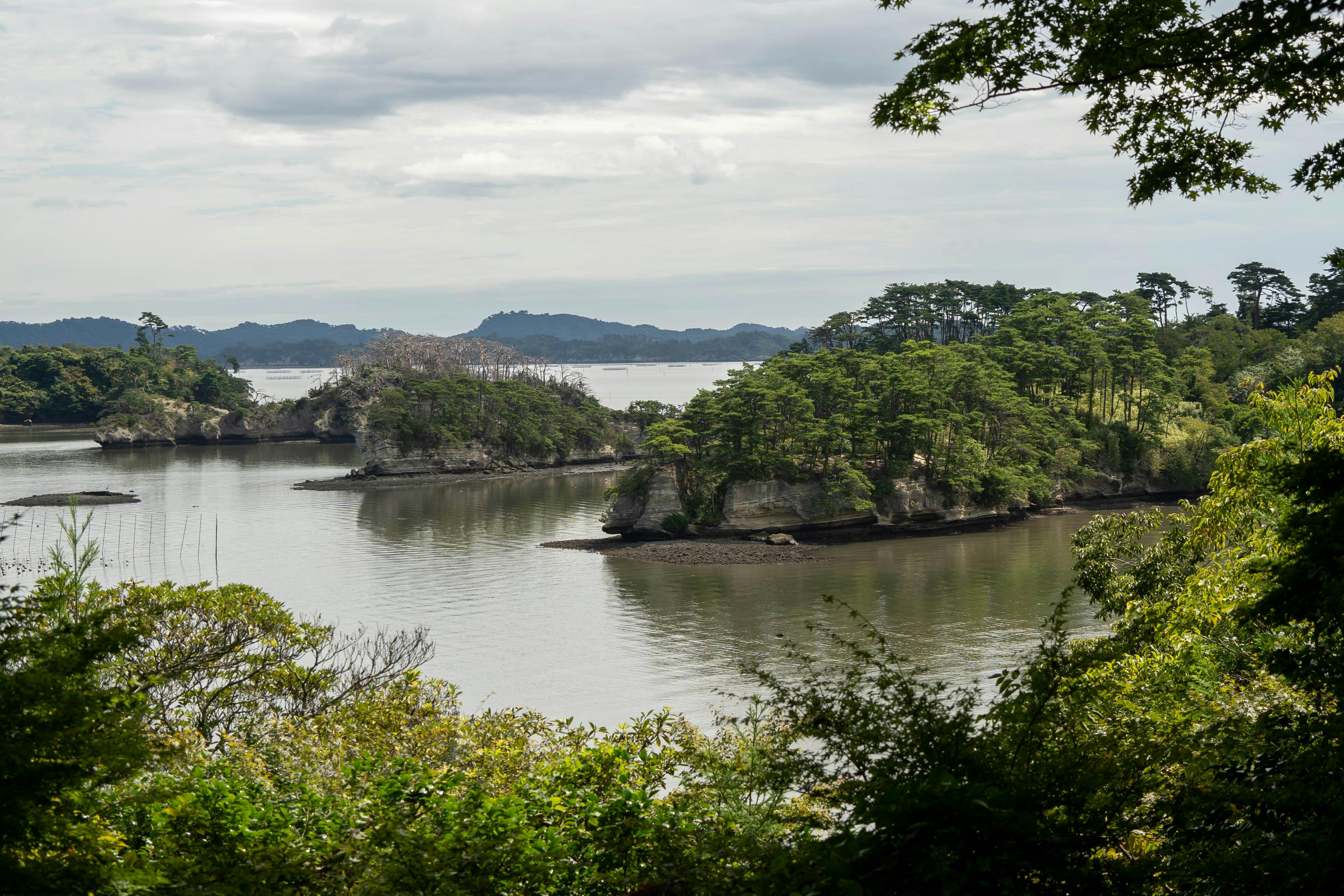 Photo of Matsushima