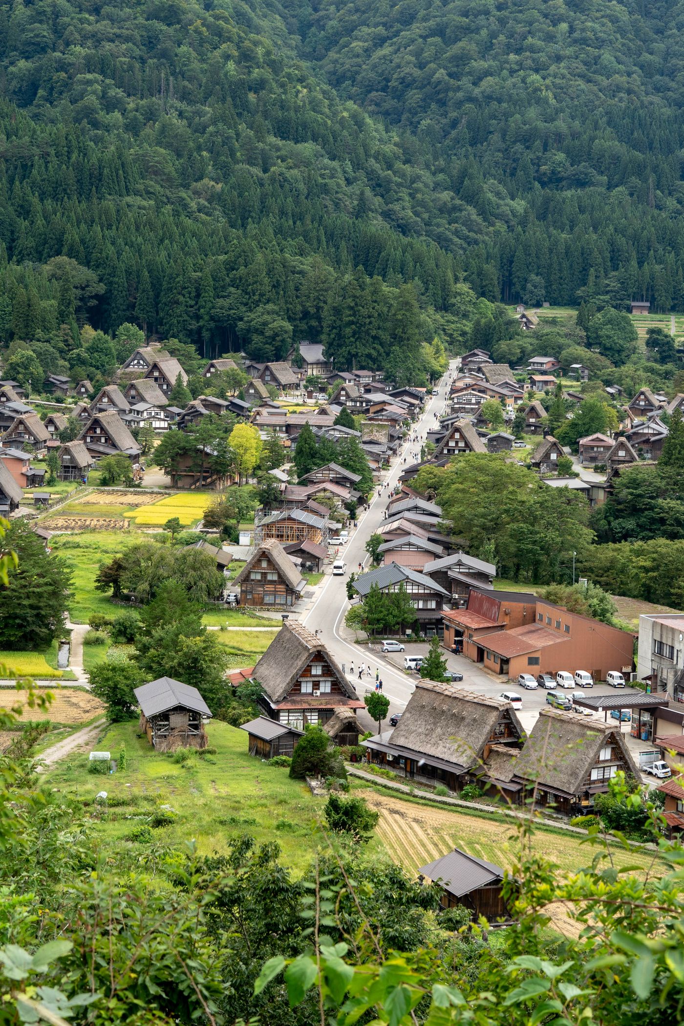 Aerial view of the thatched gassho-zukuri farmhouses of Shirakawa-go village among green fields and forested hills.