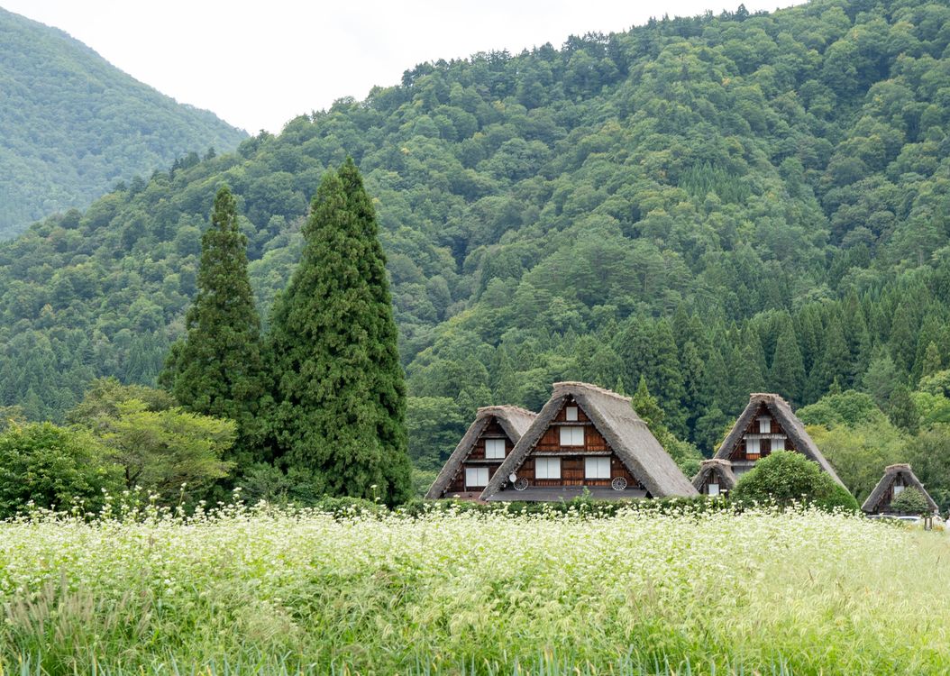 Japanese Ranches Traditional Japanese Farmhouses in Lush Countryside · Free Stock Photo