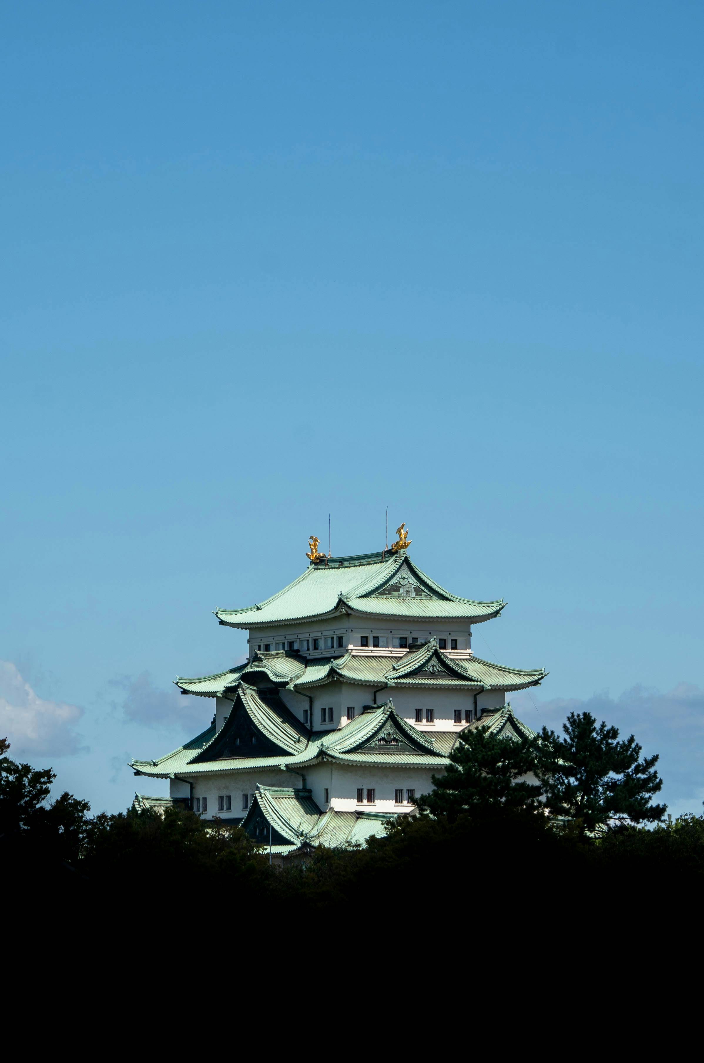 View of Nagoya Castle, a historic Japanese fortress, with a clear blue sky background.