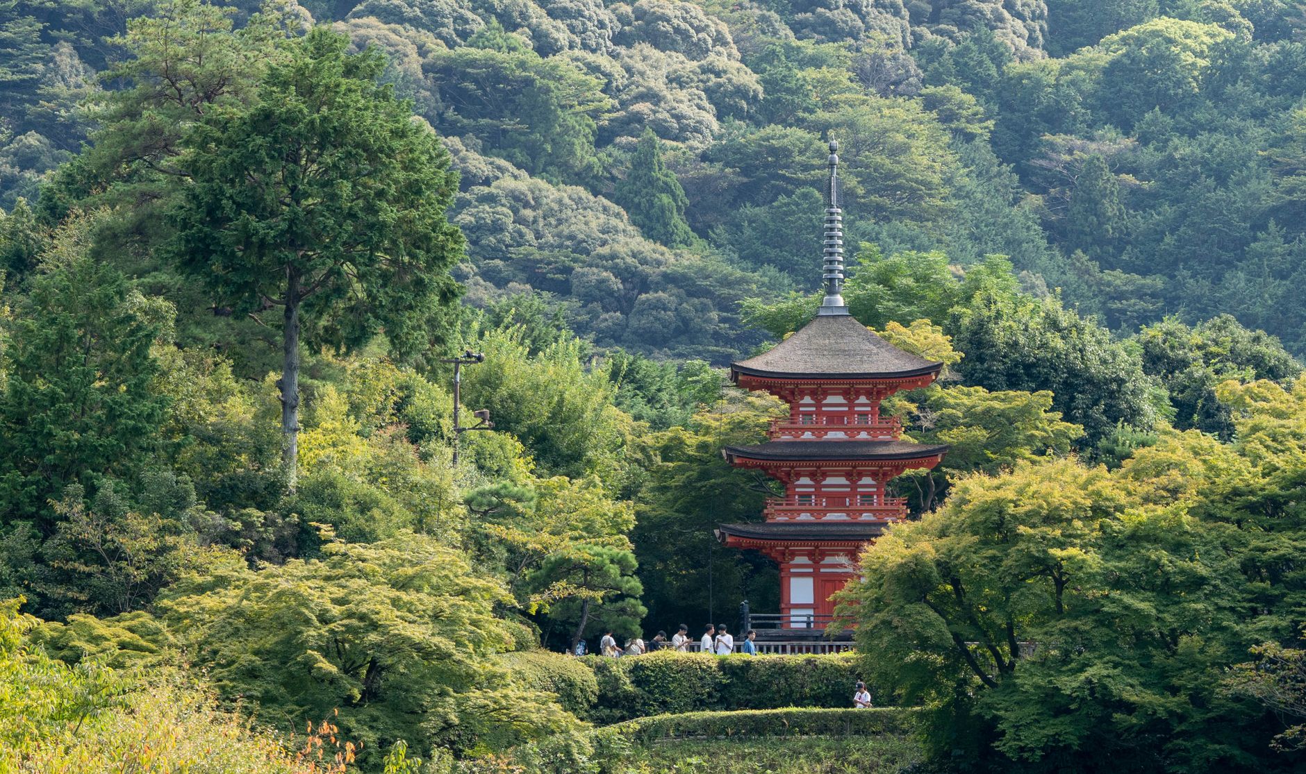 京都の穴場絶景スポット2選|混雑を避けて静かに自然の癒しを満喫