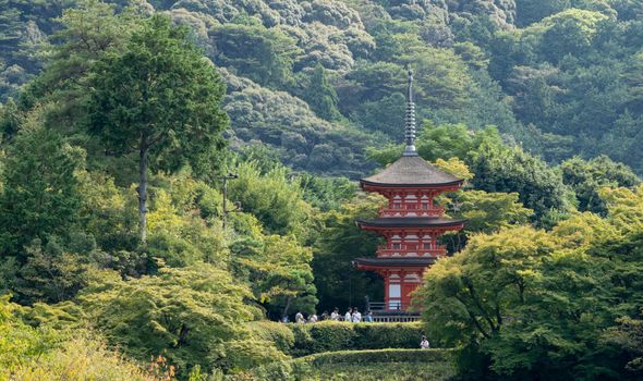 Beautiful red pagoda surrounded by verdant forest foliage in Japan.