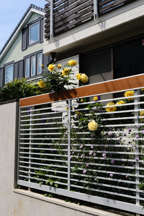 Free stock photo of flowers, house Stock Photo