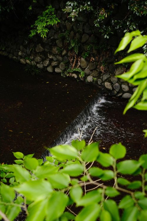 Free stock photo of park, tokyo, waterfall Stock Photo